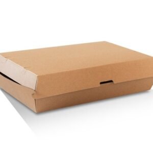 Family Box Corrugated Plain Brown 100pc Per Box
